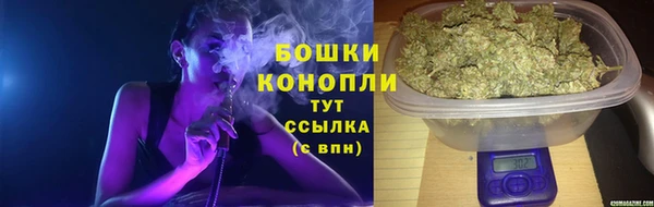 PSILOCYBIN Михайлов