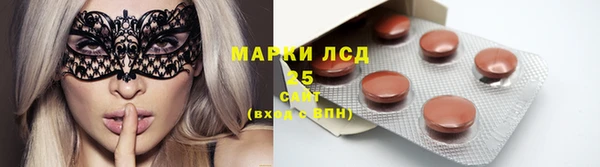 PSILOCYBIN Михайлов