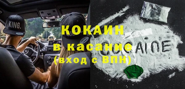 PSILOCYBIN Михайлов