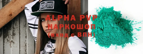 PSILOCYBIN Михайлов
