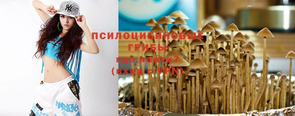 трава Михайловка