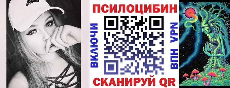 купить   Новотроицк  Псилоцибиновые грибы Cubensis 