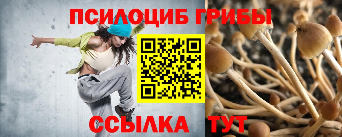 Новотроицк  Галлюциногенные грибы мицелий  Вход с VPN  где купить наркоту  Псилоцибиновые грибы ЛСД 