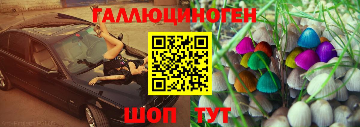 Галлюциногенные грибы Psilocybe Новотроицк